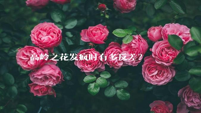高岭之花发疯时有多反差？