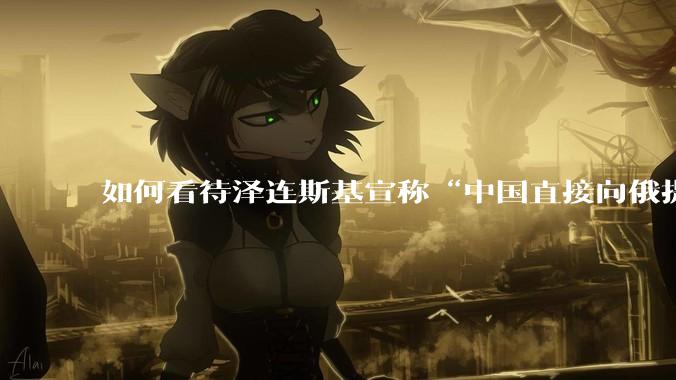 如何看待泽连斯基宣称“中国直接向俄提供***援”?