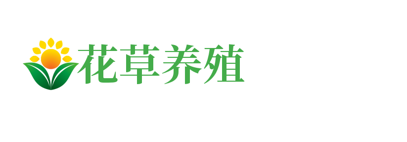 济南六一儿童医院_济南多动症专科医院_济南自闭症医院_济南抽动症医院_济南六一儿童医院好_济南六一儿童医院怎么样_济南六一儿童医院评价好_济南六一儿童医院好不好_济南六一儿童医院正规儿童专科医院